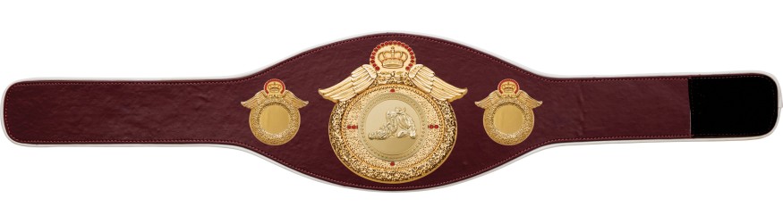 JIU JITSU CHAMPIONSHIP BELT-PROWING/G/JJG-6+ COLOURS